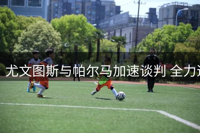 尤文图斯与帕尔马加速谈判 全力追逐日本门神铃木彩艳