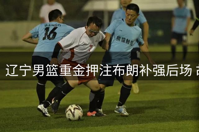 辽宁男篮重金押注布朗补强后场 胡金秋转会遇冷折射CBA市场新生态