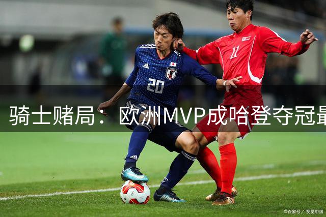 骑士赌局：欧洲MVP成哈登夺冠最后拼图